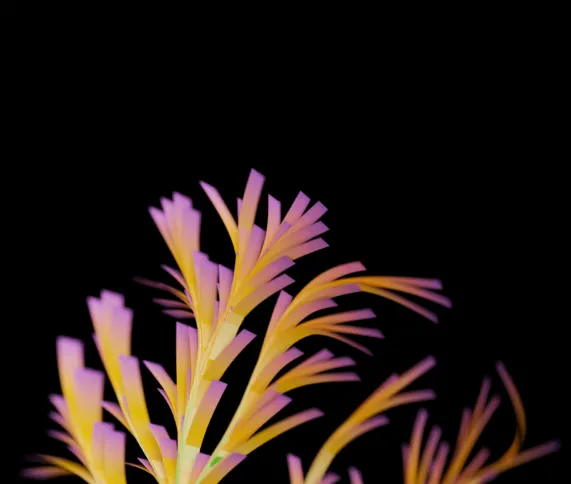 Colorful graphic